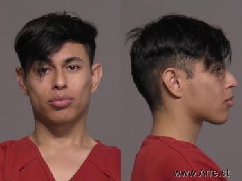 Alejandro  Sanchez-velasco Mugshot