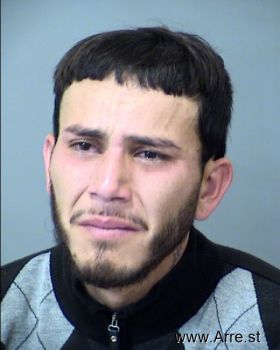 Alexander  Martinez Valenzue Mugshot