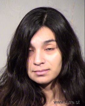 Alexis Andrea Perez Mugshot