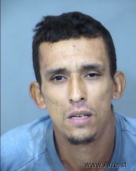 Alfredo  Castillo Mugshot