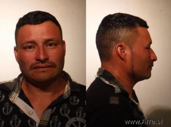 Alfredo  Rodriguez-gomez Mugshot