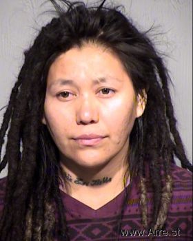 Alvina  Dineyazhe Mugshot