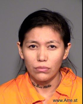 Alvina  Dineyazhe Mugshot