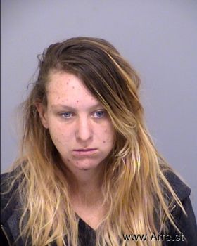 Alyson Paige Downs Mugshot