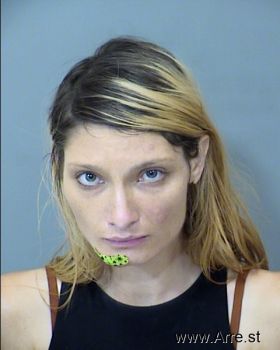 Amanda Marie Barnes Mugshot