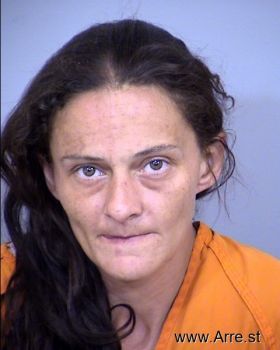 Amanda Nicole Cook Mugshot