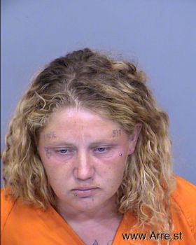 Amanda Lee Smith Mugshot