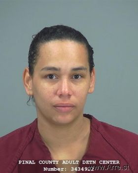 Amanda  Williams Mugshot