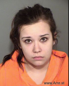 Amy M Erickson Mugshot