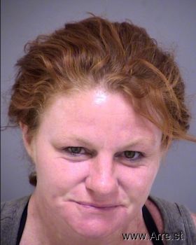 Amy M Robinson Mugshot