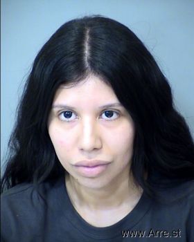 Ana Luisa Perez Rojo Mugshot