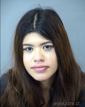 Andrea Lee Rodriguez Mugshot