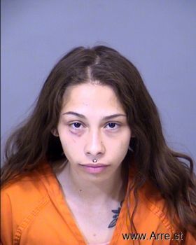 Andrea Elaine Snow Mugshot