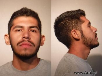 Andres  Ledezma Tellez Mugshot