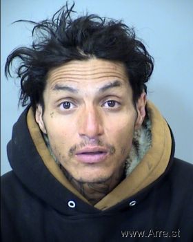 Andrew  Ortega Mugshot