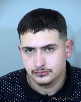 Anthony Manuel Aldana Mugshot