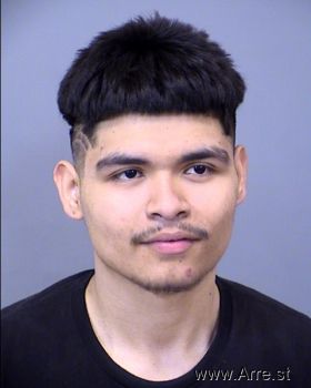 Anthony  Eliserio Mugshot