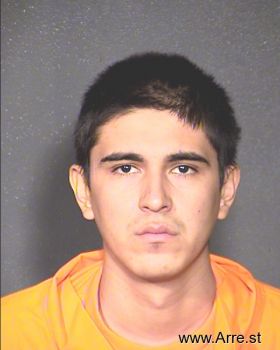 Anthony  Elizalde Mugshot