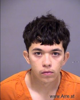 Anthony  Rodriguez Palomin Mugshot