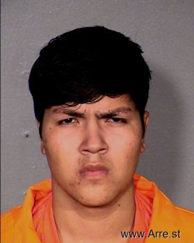 Anthony  Rojas Mugshot