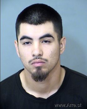 Anthony Nicholas Torres Caballero Mugshot