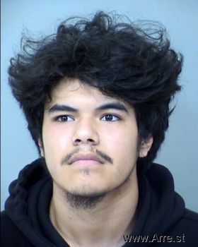 Anthony  Valdez Silva Mugshot