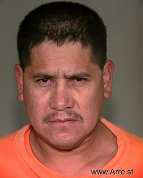 Apolinar  Hernandez-ramirez Mugshot