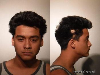 Armando  Lozano Bermudez Mugshot