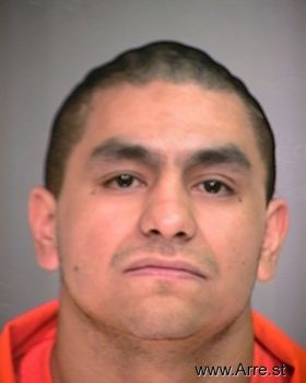 Armando  Perez Mugshot