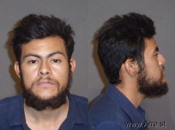 Armando  Perez-gomez Mugshot