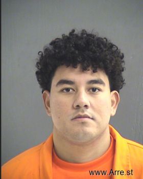 Armando P. Sanchez Mugshot