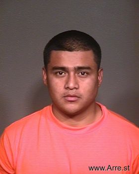 Armando  Vasquez-castillo Mugshot