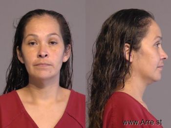 Ashley  Aguilar Mugshot