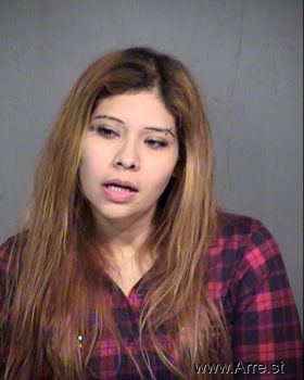 Ashley  Aguilar Mugshot