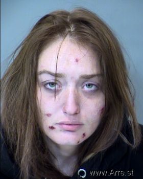 Ashley Marie Anderson Mugshot