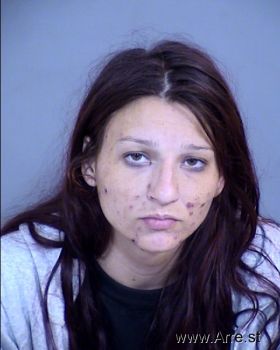 Ashley Elizabeth Niemiec Mugshot