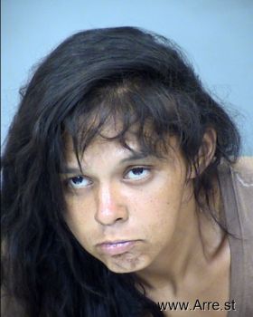 Ashley Ann Salinas Mugshot