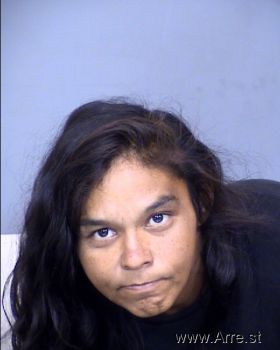 Ashley Ann Salinas Mugshot