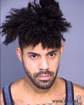 Austin  Alexander Mugshot