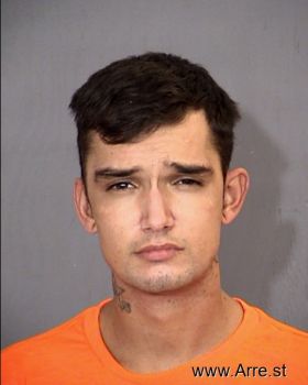 Austin  Hanson Mugshot