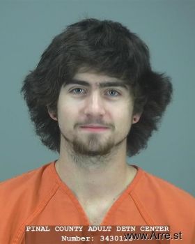 Austin  Williamson Mugshot