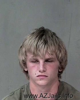 Brandon Gene Hollingsworth Mugshot