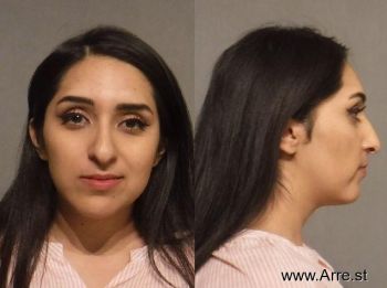 Berenice  Carballo Mugshot