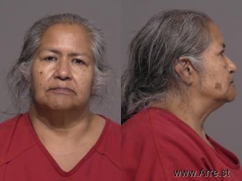 Billie Ann Davis-garcia Mugshot