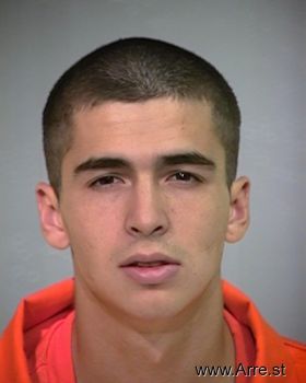 Bradley J Johnston Mugshot