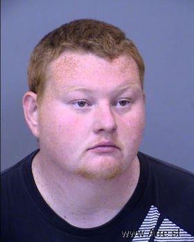 Bradley Ryan Williamson Mugshot