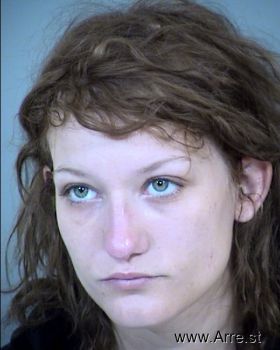 Brandi Lynn Norr Mugshot