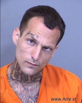 Brandon Nicholas Denmark Mugshot