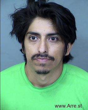 Brandon  Pichardo Mugshot