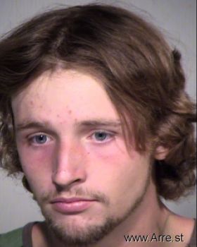 Brandon  Scheper Mugshot